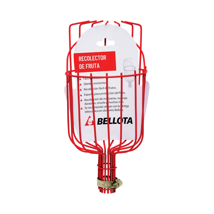 Recolector de Fruta Bellota